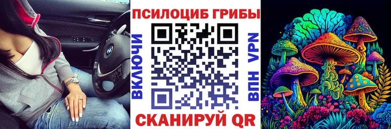 Псилоцибиновые грибы Psilocybine cubensis  Чишмы 